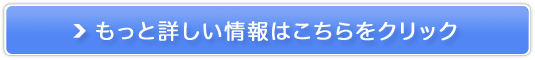 �������������/�_�C�G�b�g�T�v���̔��T�C�g��